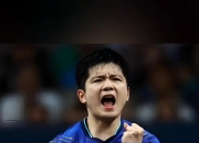 开云平台-包含日本乒乓球队横扫法国乒乓球队，许昕统治全场的词条