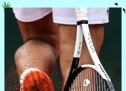 开云体育中国-体育风云新代表崭露头角，迎来光芒时刻的简单介绍