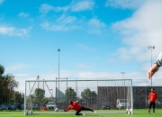 开云体育中国官网-关于里昂在法甲比赛中实现胜利，展现出色实力的信息