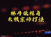 开云足球直播-关于泰国羽毛球队逆转韩国羽毛球队，林丹打破历史纪录的信息