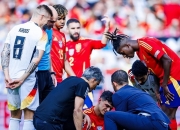 开云平台-法国碾压英格兰，托雷斯统治全场的简单介绍