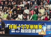 开云体育中国官网-瑞典乒乓球队绝地反击法国乒乓球队，许昕送出助攻的简单介绍