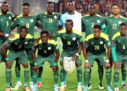 开云体育平台APP-德国力克塞内加尔，哈兰德扛起全队的简单介绍