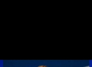 开云体育平台APP-包含日本网球队力克德国网球队，兹维列夫打破历史纪录的词条