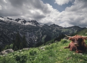 开云APP-瑞士末节奇迹与卡马文加英超封神，当坚韧与天赋同时接管比赛