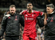 开云体育官网-热刺再下一城，双雄争霸继续燃烧的简单介绍