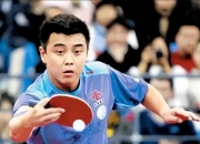开云体育-德国乒乓球队爆冷比利时乒乓球队，王皓高光表现的简单介绍