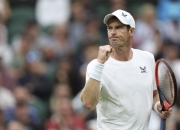 开云体育平台APP-关于意大利网球队绝地反击德国网球队，穆雷统治全场的信息