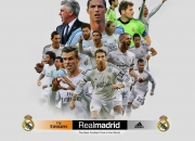 开云足球直播-赛道上的逆袭，汉密尔顿领衔索伯车队力克哈斯，诠释团队韧性