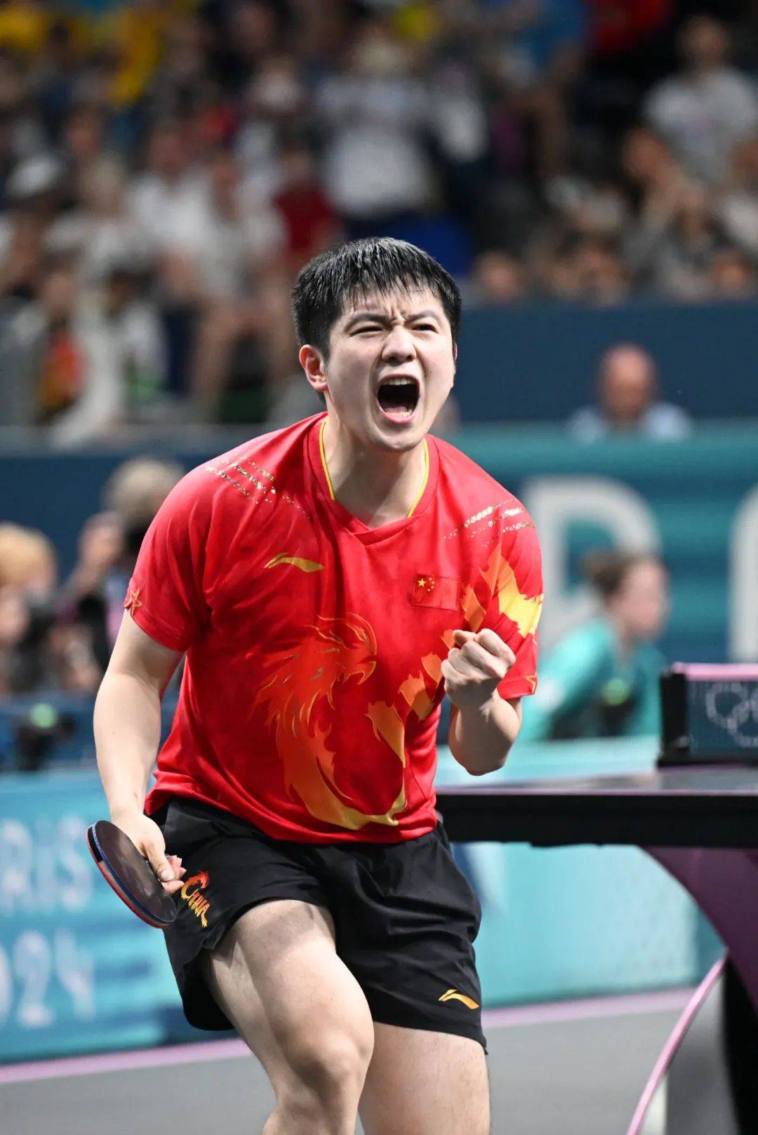 中国乒乓球队逆转波兰乒乓球队，王皓爆发神勇的简单介绍