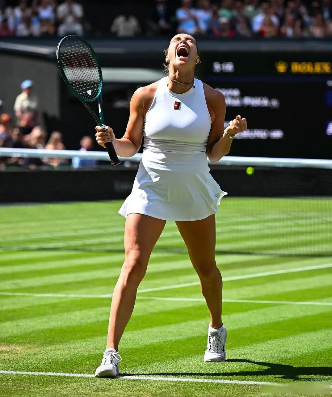 拉沃尔杯鏖战温网，西西帕斯统治全场的简单介绍