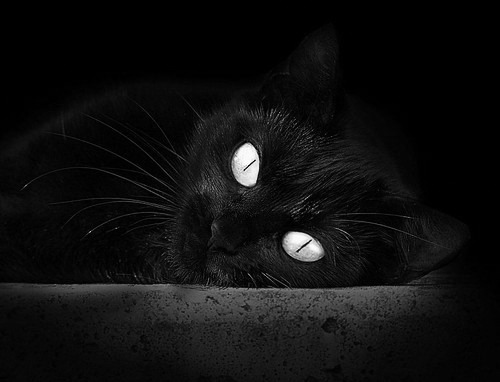 总决赛之夜，布伦森的防守艺术如何锁死对手