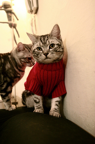 东决关键战之夜，莱奥数据全面爆炸，一场注定载入史册的表演