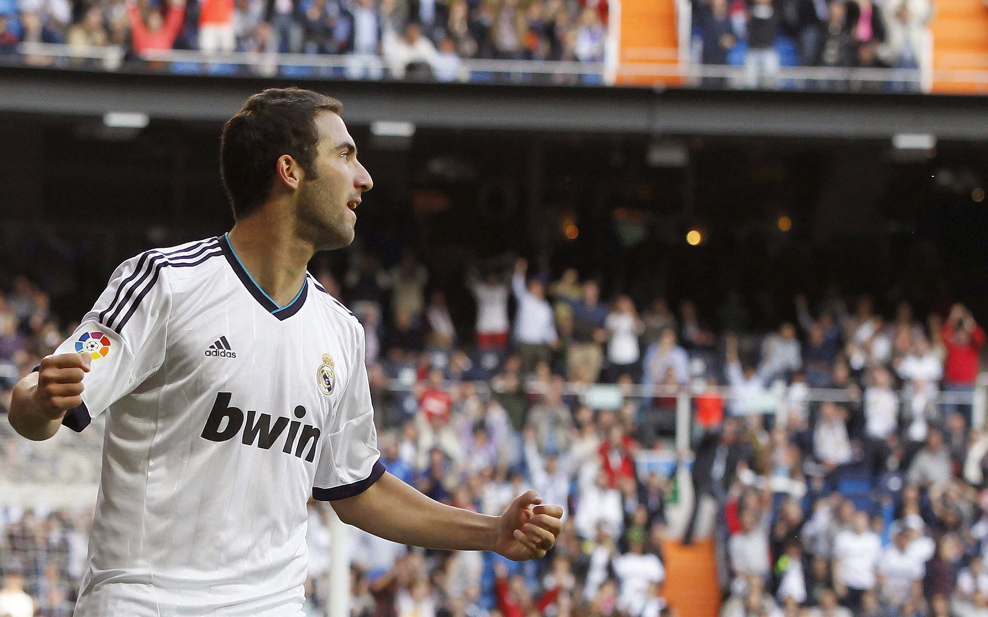 南美绿茵与北美硬木，跨越大陆的胜利法则